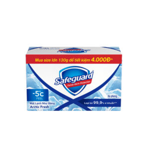 SAFEGUARD ICE COOL SOAP