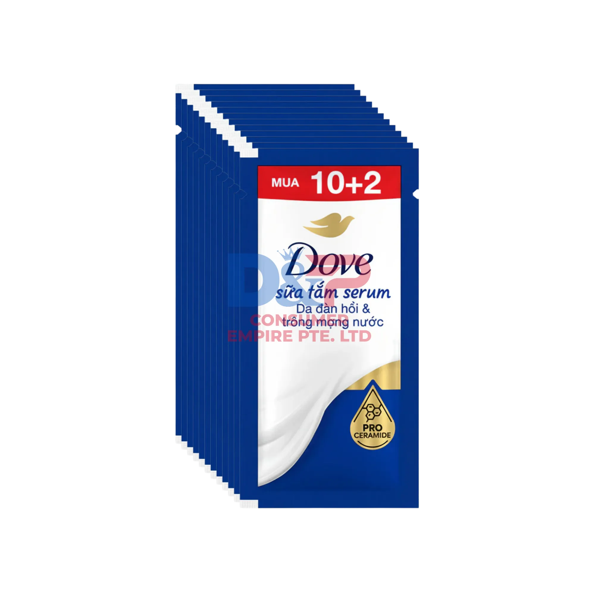Vietnam DOVE